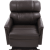 The Golden Technologies®️ Comforter with MaxiComfort PR 535 is a brown leather recliner featuring plush cushioning, armrests, a high back, and sturdy construction for ultimate comfort and relaxation when viewed from the front.